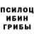 Псилоцибиновые грибы мухоморы Roma Minchuk