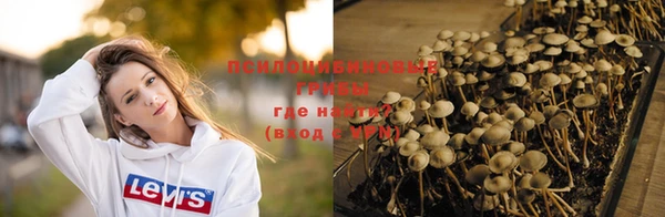 кокаин Вяземский